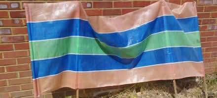 Photo of free Two Windbreaks (Farnborough GU17) #2