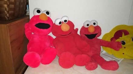 Photo of free Stuffed Toys (Flanders NJ) #1