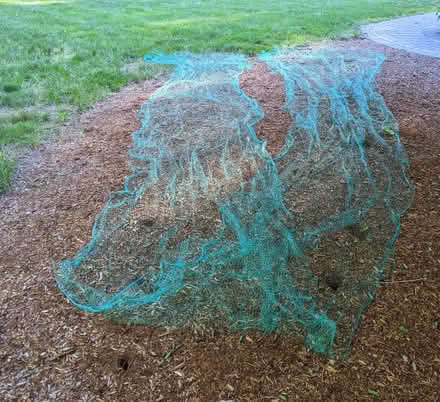 Photo of free mesh netting for shrubs (Groton) #1