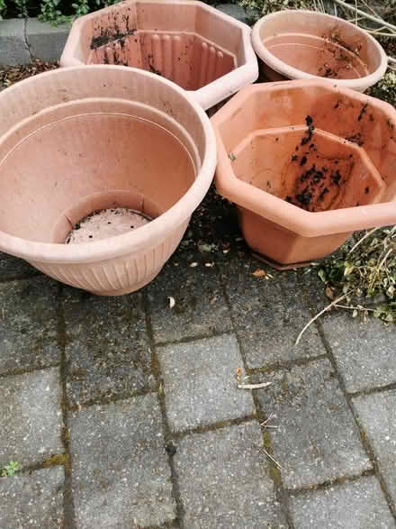 Photo of free 4 Large plastic plant pots (M35 Failsworth, Manchester) #3