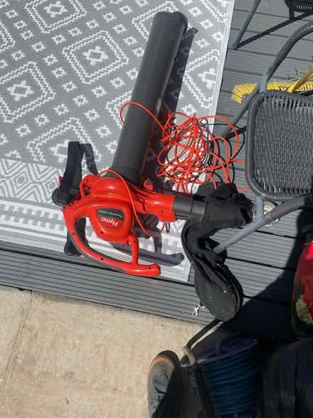 Photo of free Flymo power vac 300v (Axminster flax meadow) #1