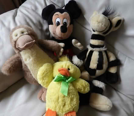Photo of free Children's soft toys (Lords Wood ME5) #1