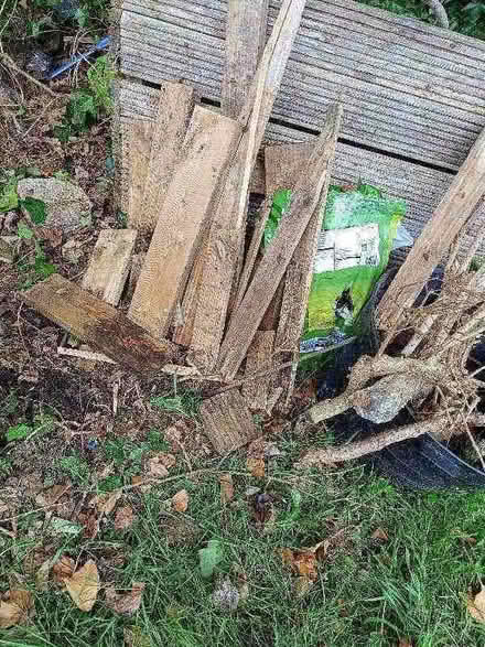 Photo of free Wood (New Ferry CH62) #1