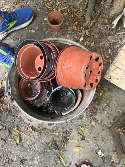 Photo of free Assorted size nursery pots (NW10) #2