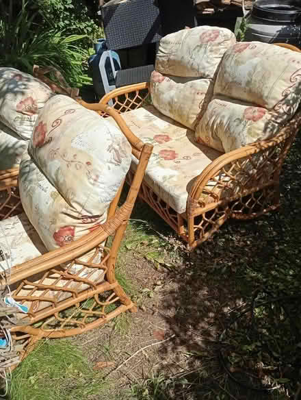 Photo of free Conservatory suite (Stoke Row RG9) #4