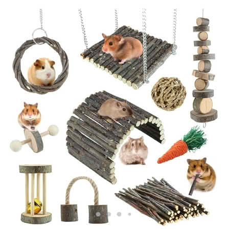 Photo of free Rodent play set (Fulham SW6) #1