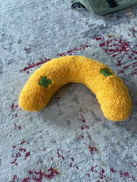 Photo of free Cat comfort pillow (Park view\Petworth) #1