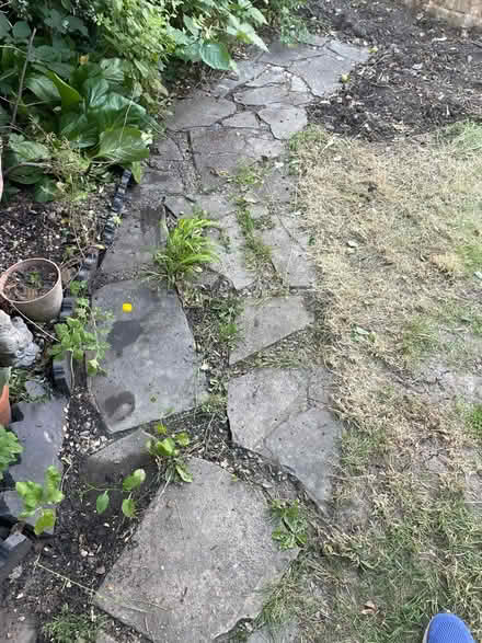Photo of free Crazy Paving (Dollis Hill (NW10)) #2