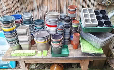 Photo of free Used plant pots & seed trays RH12 (Horsham.) #1