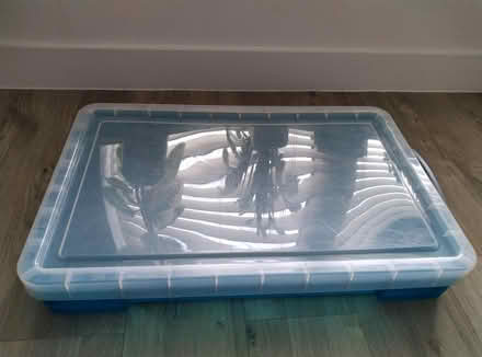 Photo of free Plastic Storage Box (East Chichester) #1