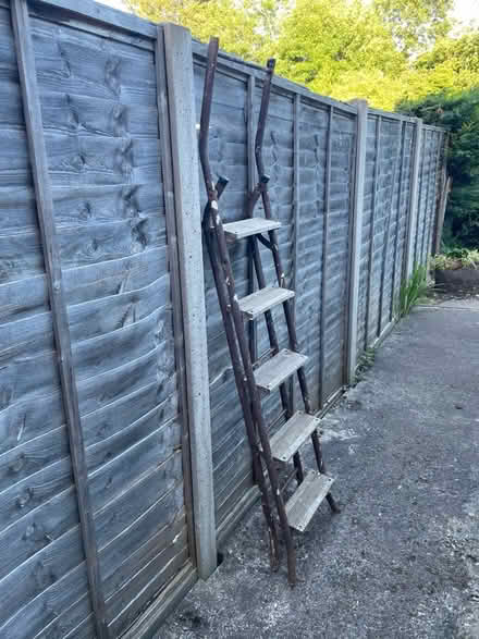 Photo of free Ladder (HR4) #1