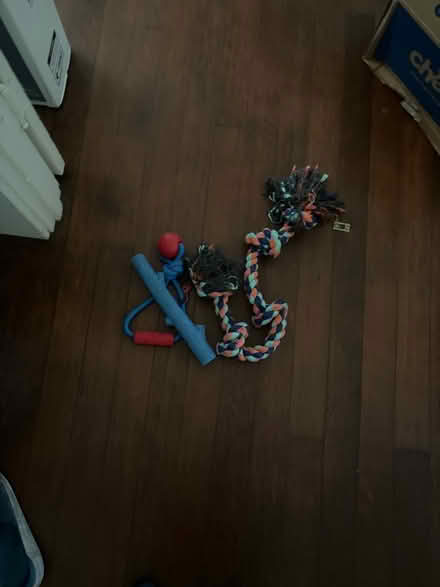 Photo of free Dog pull toys (95112) #1