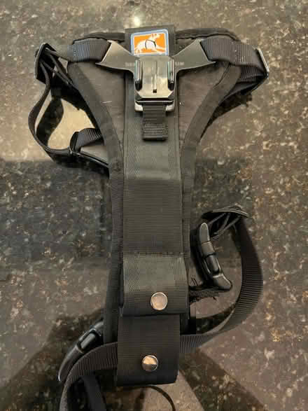 Photo of free Go Pro Dog Harness by Kurgo (Columbia) #1