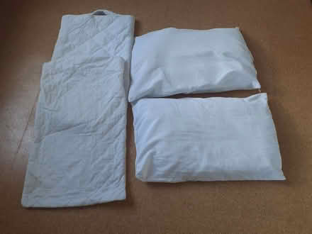 Photo of free Two pillows and pillow protectors (Queen's Park BN2) #1