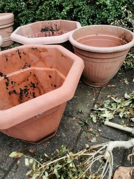 Photo of free 4 Large plastic plant pots (M35 Failsworth, Manchester) #4