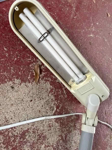 Photo of free Lights (Maryburgh KY4) #1
