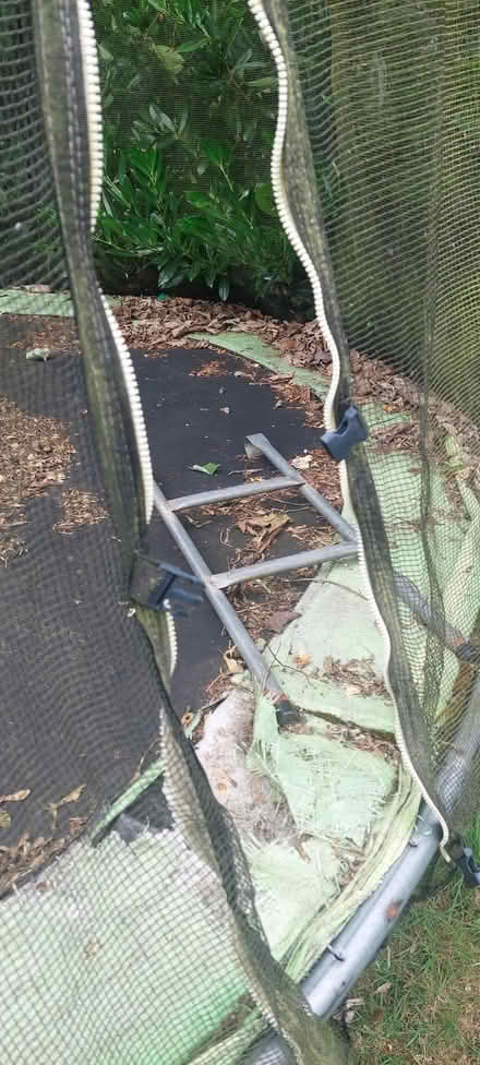 Photo of free Large Outdoor Trampoline (Stakenbridge DY8) #2