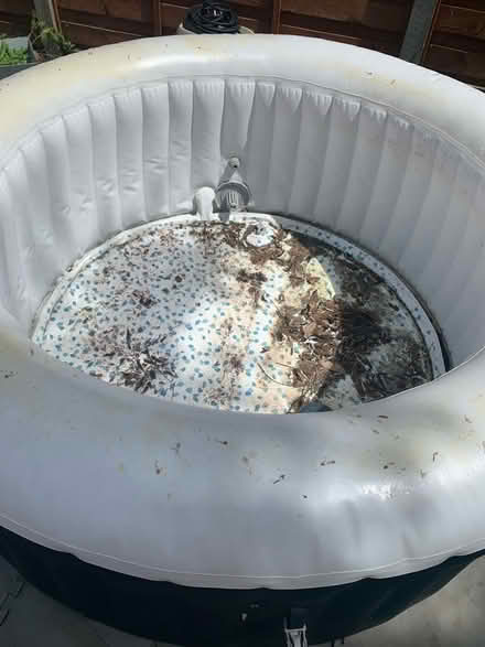 Photo of free Hot Tub (Rowhedge CO5) #2