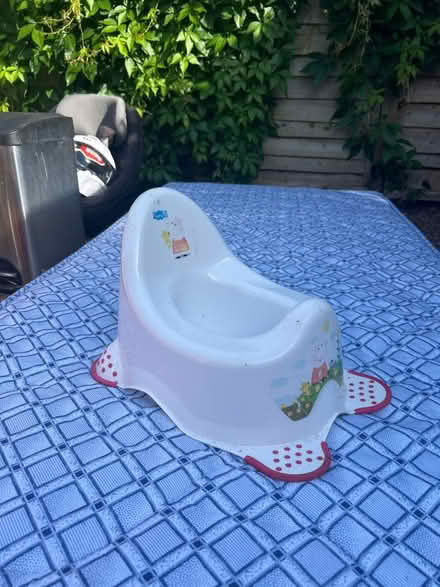Photo of free Peppa pig potty (EX8) #1