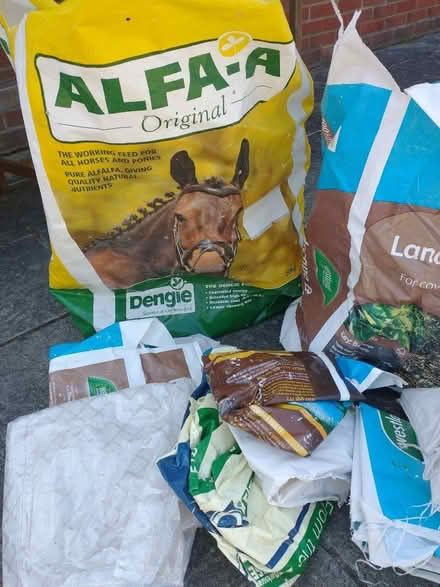 Photo of free 10 x Large Strong Bags - ideal garden waste etc. (Blofield Heath NR13) #2