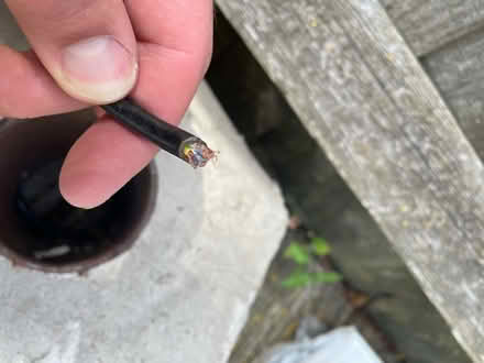 Photo of free 3 wire flex (Sydenham SE26) #2
