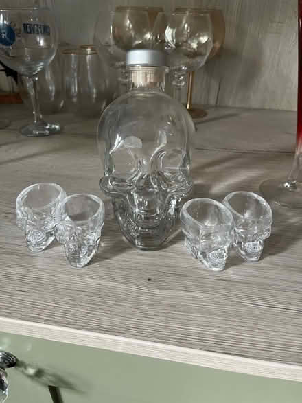 Photo of free Skull bottle and shot glasses (Denton, M34) #1