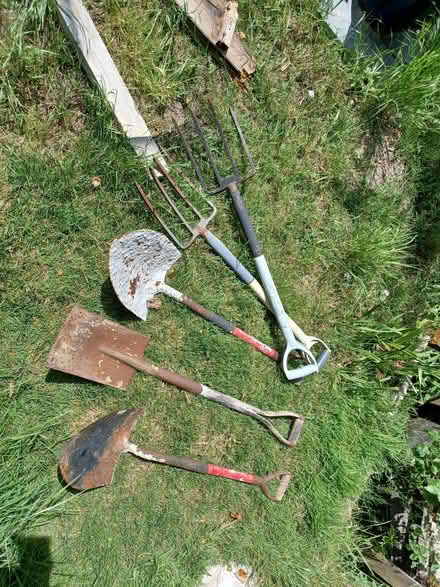 Photo of free Garden tools (Orpington/Petts wood BR5) #1