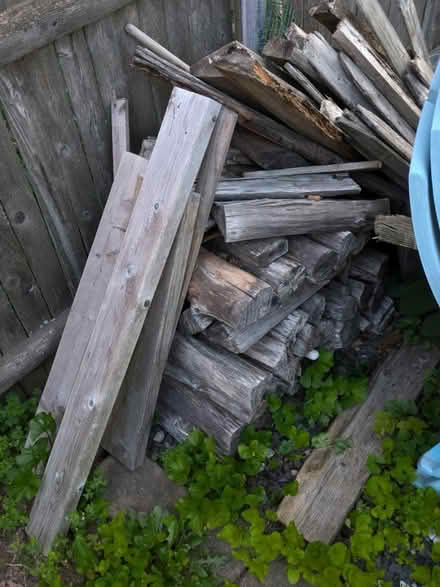 Photo of free Metal Fire Pit & Fire wood (Pawtucketville / Lowell) #2