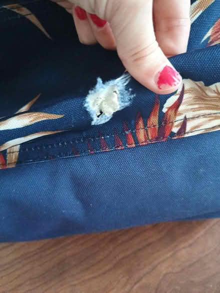 Photo of free Roxy backpack - small hole (SE12) #2