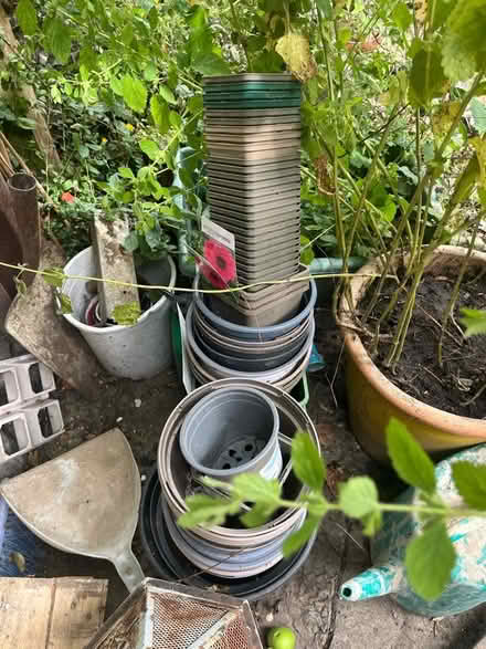 Photo of free Assorted size nursery pots (NW10) #1