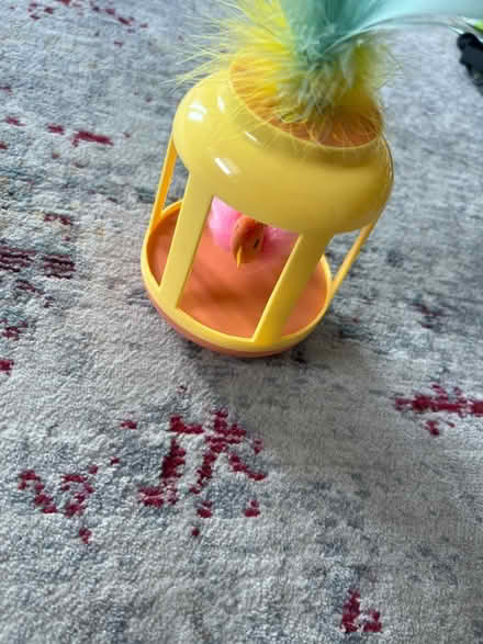 Photo of free Cat toy (Park view\Petworth) #2