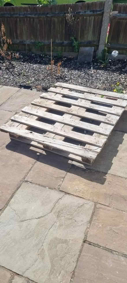 Photo of free Pallette (Banstead SM7) #1