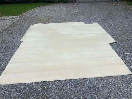 Photo of free Good Quality Beige Carpet (Finchampstead RG40) #3