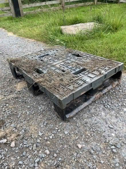 Photo of free 6 plastic pallets (Bettws-y-crwyn LD7) #1