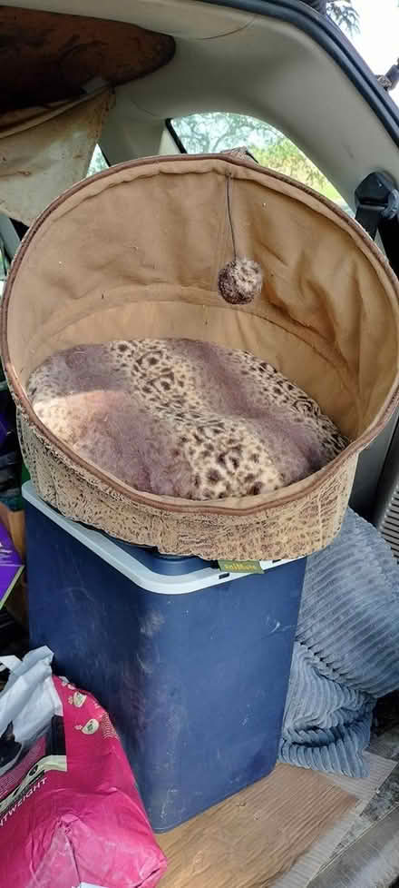 Photo of free Nice cat bed (Near Tetbury) #2