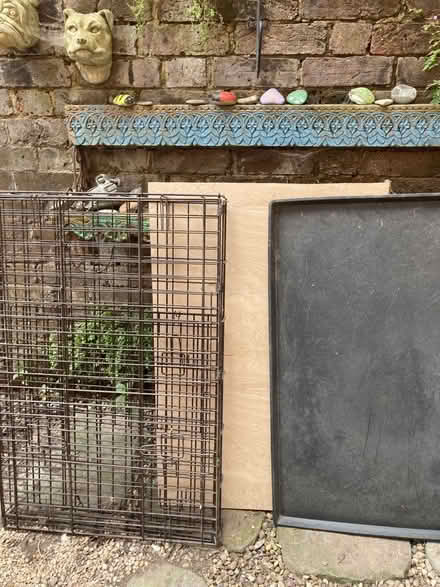 Photo of free Large dog cage (Hove BN3) #1