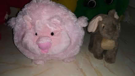 Photo of free Stuffed Toys (Flanders NJ) #2