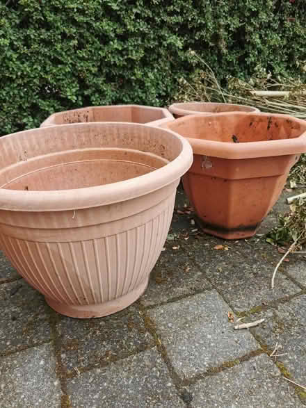Photo of free 4 Large plastic plant pots (M35 Failsworth, Manchester) #2