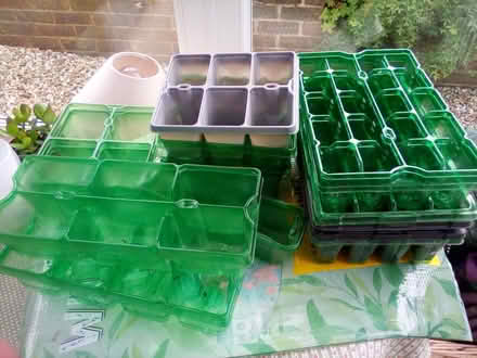 Photo of free Seed trays (High Hurstwood TN22) #1