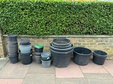 Photo of free Flower / plant pots (Beckenham) #1