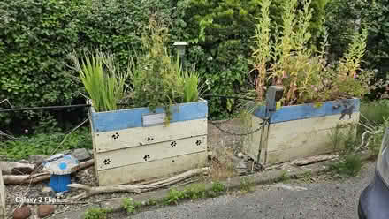 Photo of free Wooden Planters x 3 (Llanddulas LL22) #1