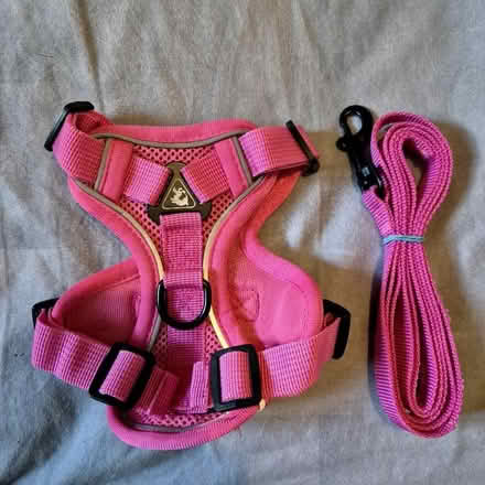 Photo of free Puppy harness and lead (Bellingham SE6) #2