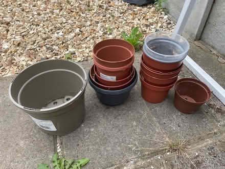 Photo of free Flower pots / several (Leytonstone) #1