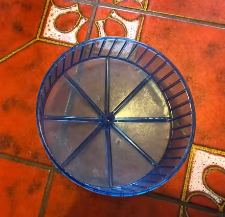 Photo of free Hamster wheel (Marlow SL7) #1