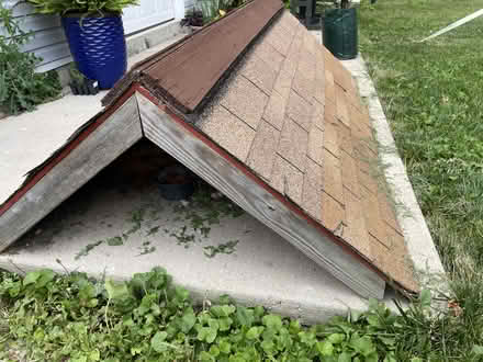 Photo of free Chicken Coop Roof (Hyde Park) #2
