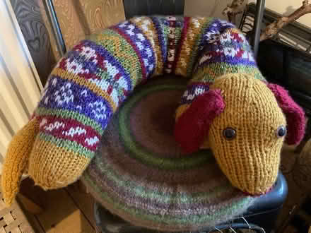 Photo of free Dog draught excluder (Moulsecoomb BN2) #1