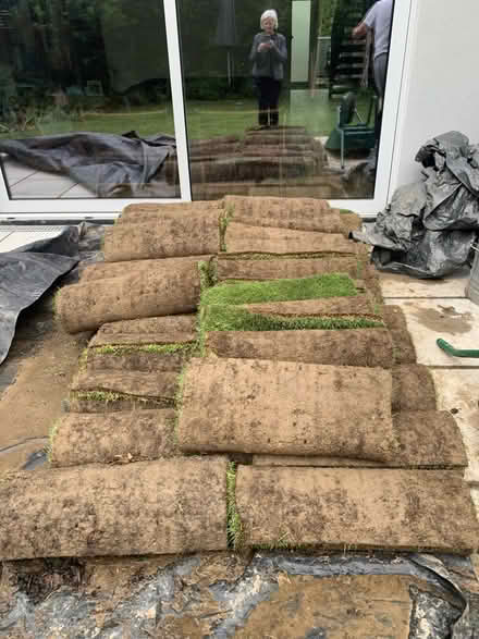 Photo of free 35 square metres of turf (Eaton NR4) #1