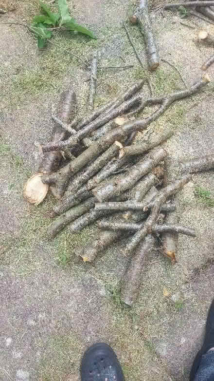 Photo of free 2 Bags of wood (Polegate BN26) #1