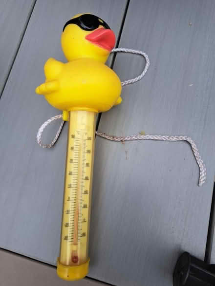 Photo of free Plastic Duck Thermometer (Wokingham RG40) #1
