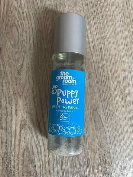 Photo of free Dog spritzer (Wallasey CH45) #1